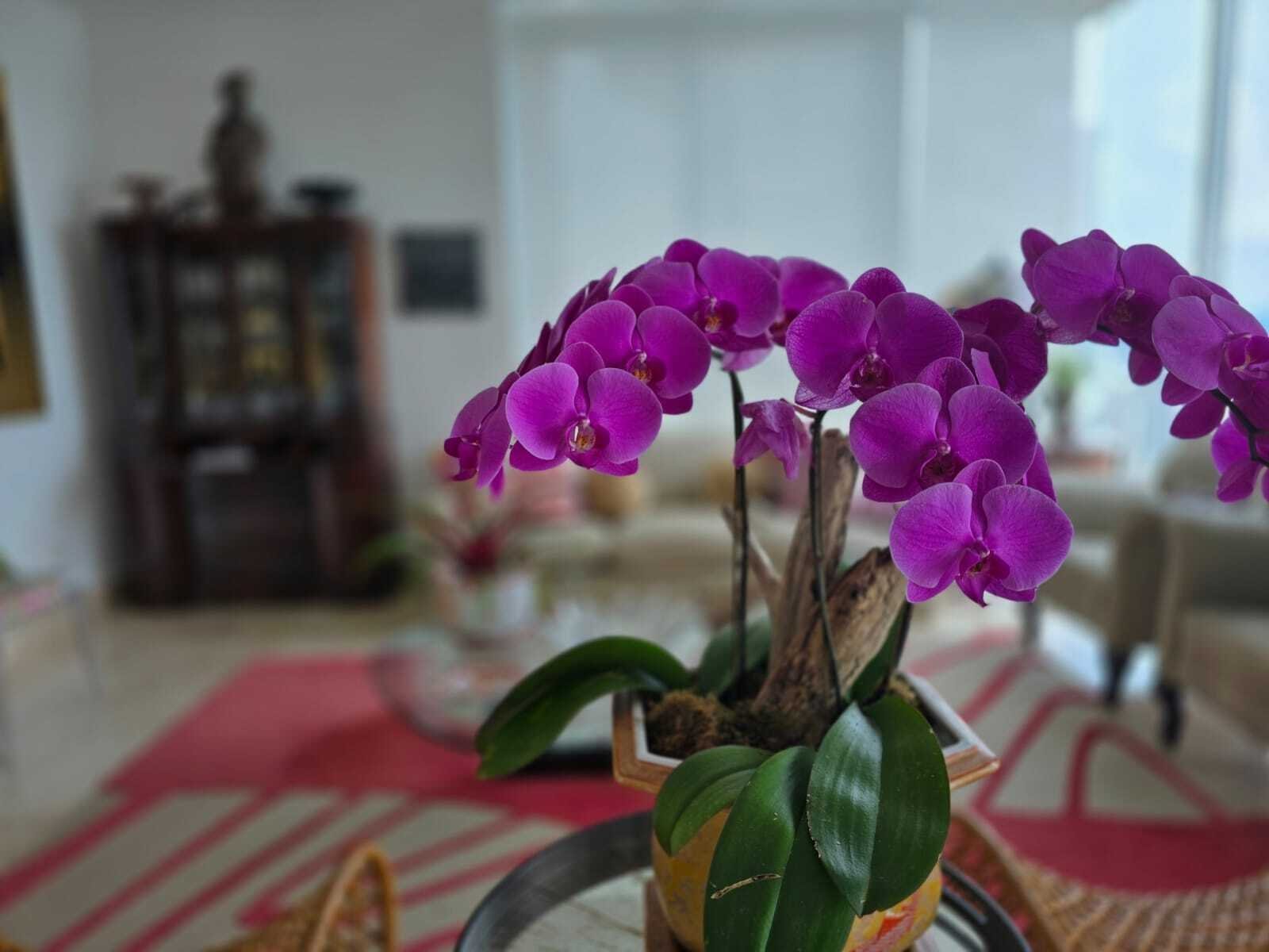 Two-Level Penthouse in Pacific Village, Punta Pacifica - Gallery image 15