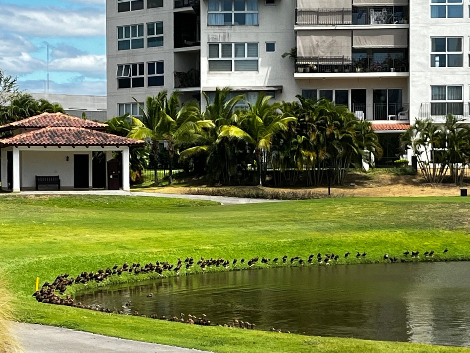 Celeste Golf-View Residences in Santa Maria - Gallery image 20