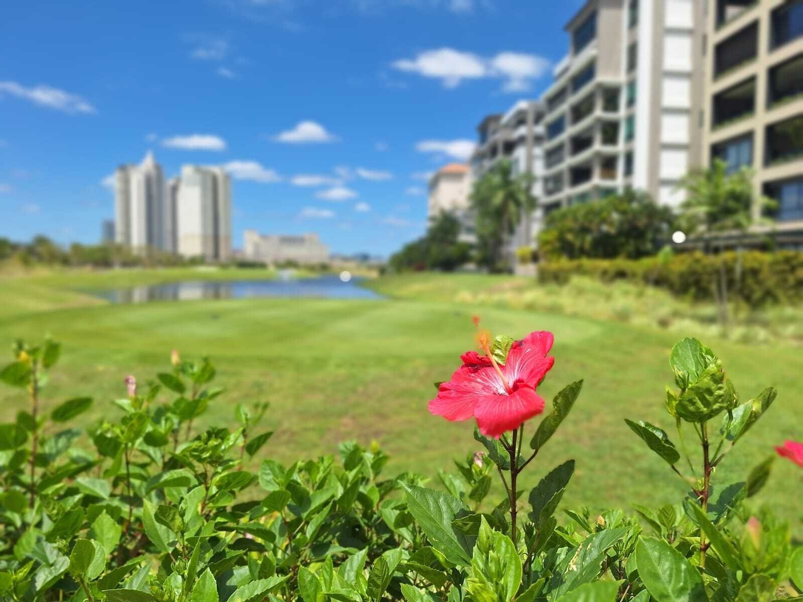 PH La Vista, Golf Views in Santa Maria - Gallery image 33