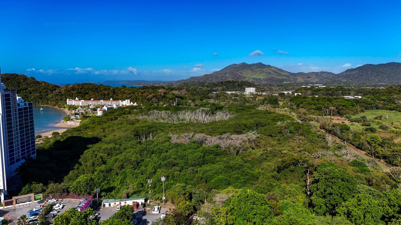 Beachfront 2-Bed at Westin Residences, Playa Bonita - Gallery image 19