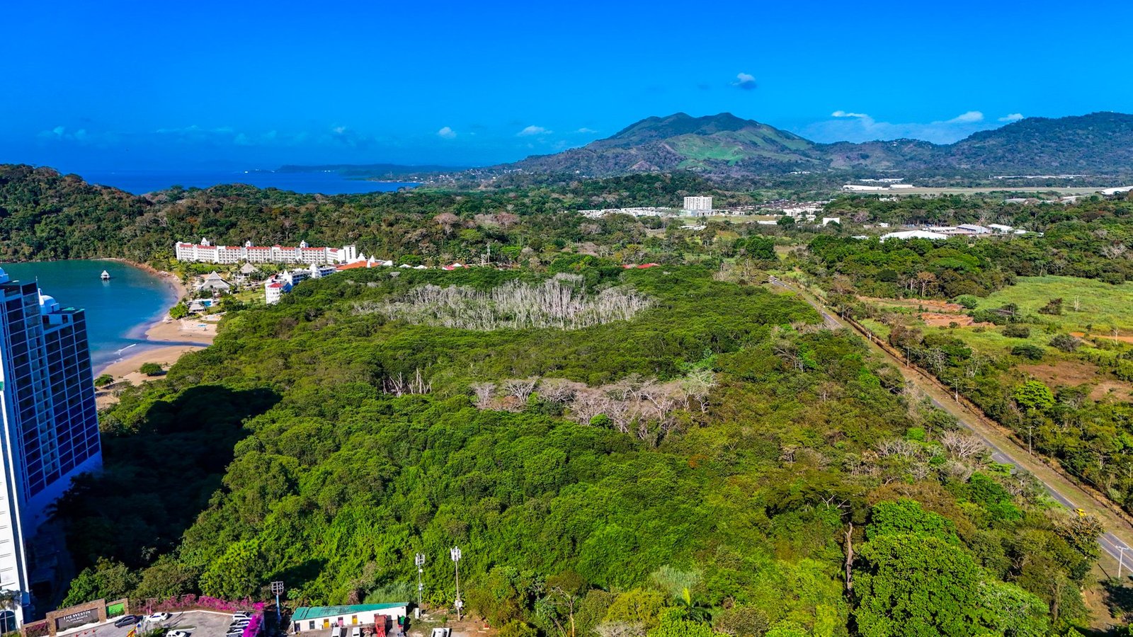 Beachfront 2-Bed at Westin Residences, Playa Bonita - Gallery image 26